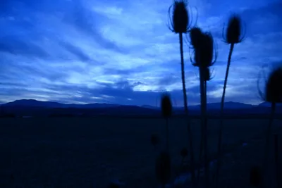 DSC_0951 (Large).JPG